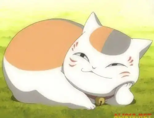 夏目友人帐文轩网正版图书 夏目友人帐文轩网正版图书