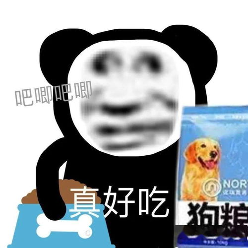 熊猫头表情包i工地来砖了告辞 熊猫头表情包i工地来砖了告辞