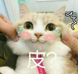  梦想还是要有的表情包推送搜狐搞笑搜狐网