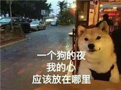  2017情人节祝单身狗节日快乐表情包送给情人节找不到对象的你