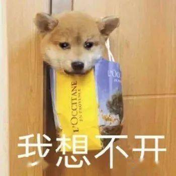  暧昧期的聊天截图曝光后啊啊啊这也太上头了