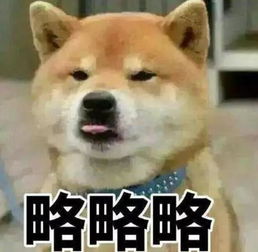 风之大陆表情包微信略略