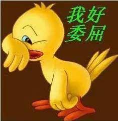  有一种代沟叫爸妈看不懂我的表情包,高中生看了深有体会