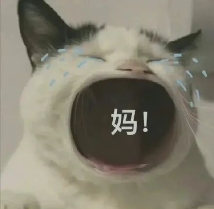  妈宝大嘴猫大哭表情包