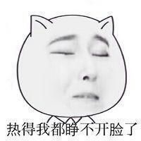  猥琐猫人脸高清大表情