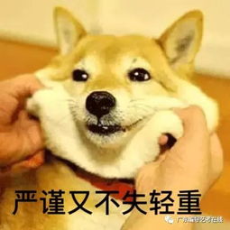 编导艺考故事怎么写才出彩三