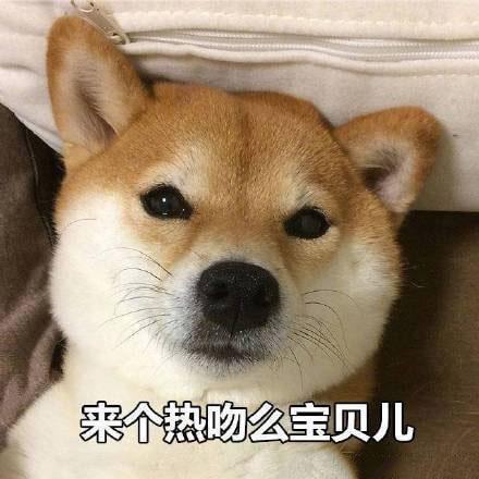  大s汪小菲离婚,明星离婚怎么都用这个理由