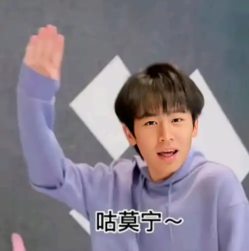  kpl顶流们的表情包无畏九尾钎城葛大爷fly清清