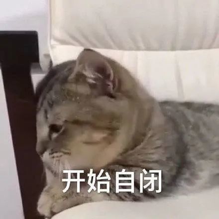  表情包做只废物挺好的