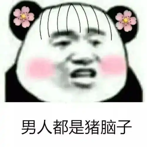 猪头像情侣表情包开心笑