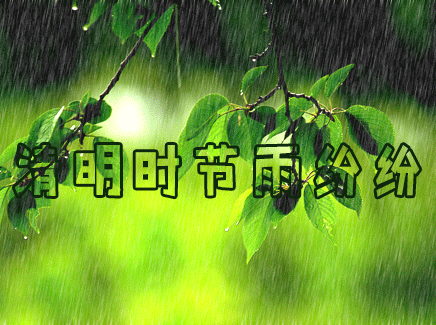  一年一清明,一岁一相思