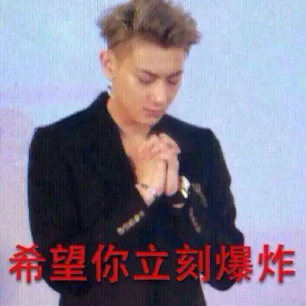 世界名人表情包韩红