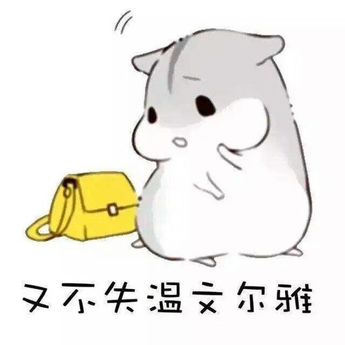  斗图丨仓鼠情侣表情包