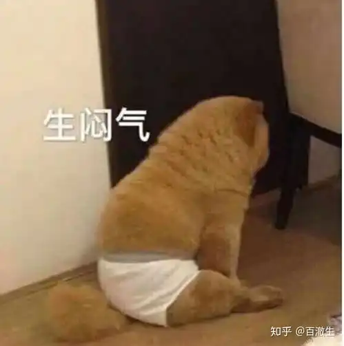 影视史上有哪些经典的即兴表演镜头 影视史上有哪些经典的即兴表演镜头