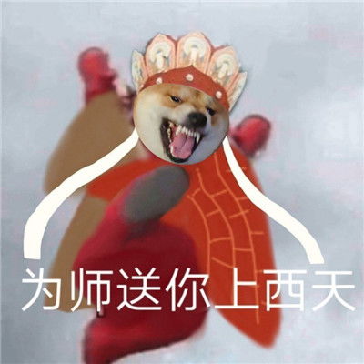  柴犬版新西游记搞笑表情包2021最新版的热门表情合集