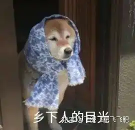 海汇国际,投资理财怎样 海汇国际,投资理财怎样