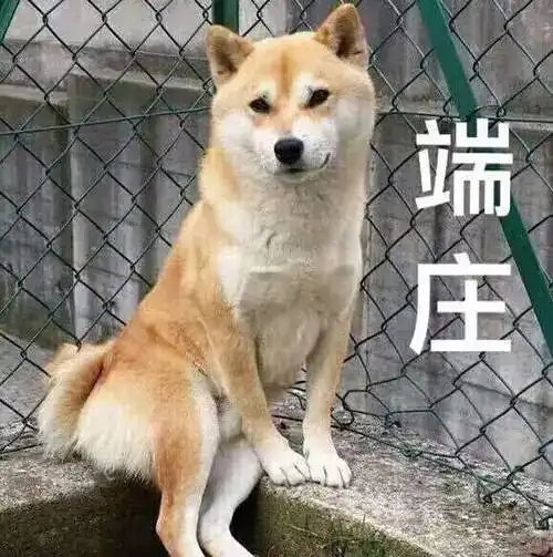 今晚注定是个不眠夜 今晚注定是个不眠夜