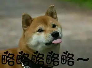 在这张图片上面加字略略略略略p得好看一点,这只狗吐舌头的字体萌一点 在这张图片上面加字略略略略略p得好看一点,这只狗吐舌头的字体萌一点