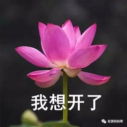 我合理怀疑,这些电视剧的导演没给造型师钱