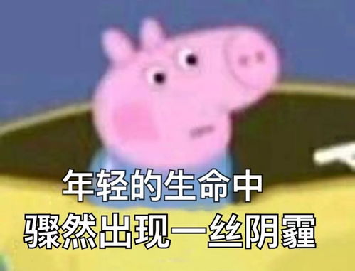  哈士奇肇事逃逸主人赔三万多,网友原来二哈不止会拆家