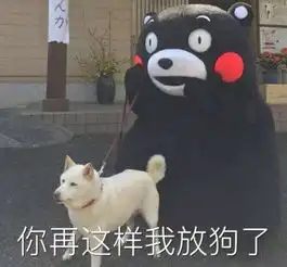 哈无搞上海地铁两男子上演飞檐走壁逃票新操作 哈无搞上海地铁两男子上演飞檐走壁逃票新操作