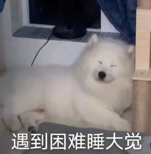  生育假会影响职场女性吗各地生育假延长,江苏产假不少于128天