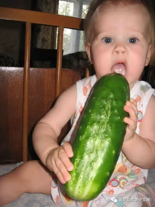 小绯闻表情包腌黄瓜