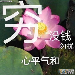  颜值越高责任越大表情包图片我可爱懂吗表情包下载乐游网游戏下载
