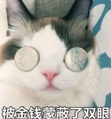  传说中可攻可受可盐可甜,把余额宝按在地上摩擦的投资品种是