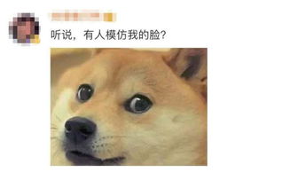 官宣微信上线新表情包教你如何用 官宣微信上线新表情包教你如何用