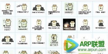  仓鼠掉瓜子表情包qq表情arp绿色软件联盟