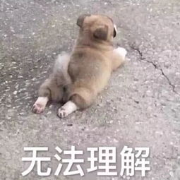 入学率连续八年下降,是什么导致美国大学遭嫌弃