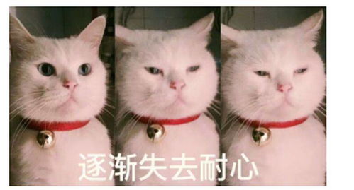  中信保诚保险公司热门保险有哪些值得购买吗