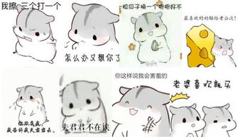  2017年度十大网络最热门表情包出炉你用过几个