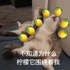 有哪些柠檬表情包 有哪些柠檬表情包