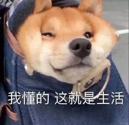  元旦期间,蓝朋友们都去了哪儿