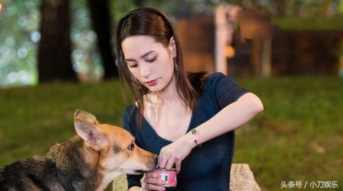  阿娇在孟非微博下求关注,孟非回了3个字,网友要不要这么可爱