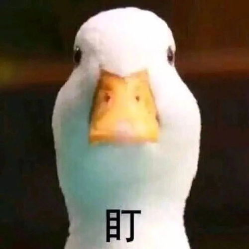  他这样骑电动自行车,结果