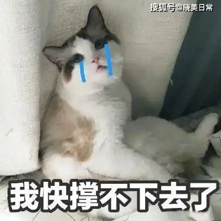 成功美女妈妈的致富朋友圈,孩子同学的妈妈被坑惨,1800万打水漂 成功美女妈妈的致富朋友圈,孩子同学的妈妈被坑惨,1800万打水漂