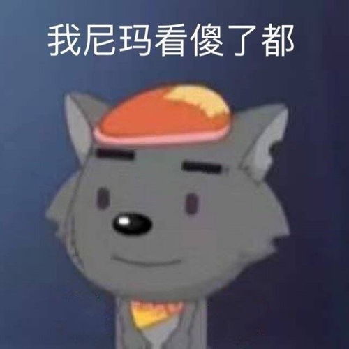  刘令姿和曾可妮真的好美嗷