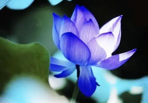 富含人生哲理的精致短语,句句有深意,经典有内涵 富含人生哲理的精致短语,句句有深意,经典有内涵