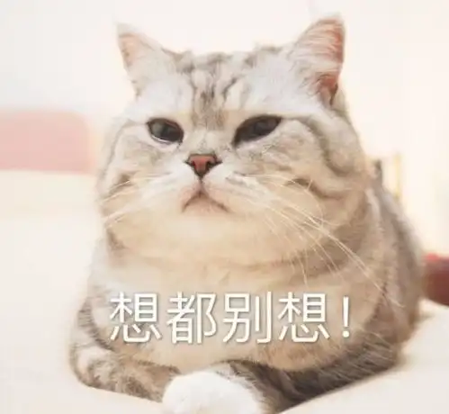 猫砂选择也有讲究用错猫砂家里甲醛飞满天,人宠都要出问题 猫砂选择也有讲究用错猫砂家里甲醛飞满天,人宠都要出问题