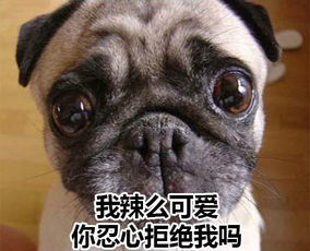  我小时候也爱这样哭下一个节目就是男女混合双打