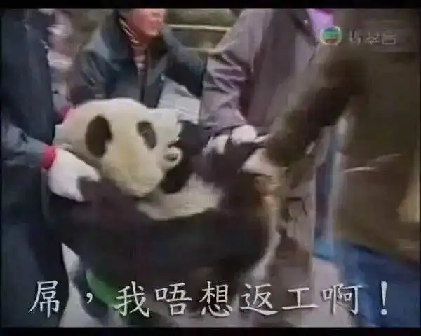 很无聊的表情包内鬼