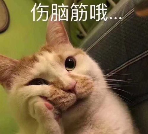  在上海街头扔垃圾,太搞脑子了吧投放口变小变细变多扔起来不方便,竟是管理部门故意为之