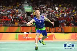  羽毛球男单决赛李宗伟获亚军图片频道新华网