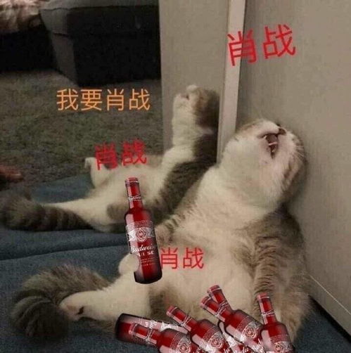  肥美的小生命为何面黄肌瘦只因不懂事的小室还不开仓放粮