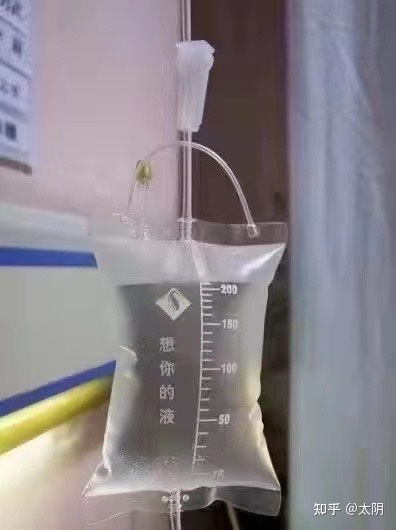  你笑王思聪舔狗,人家笑你愚蠢