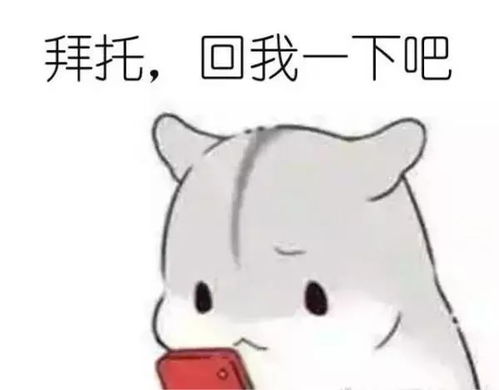  收到,请回复
