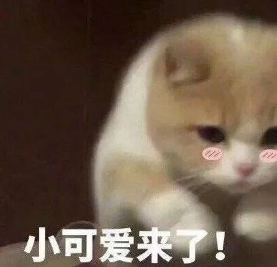  你表情包这么少,还有勇气网上冲浪